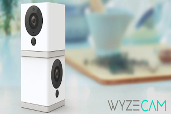 wyze cam app for android